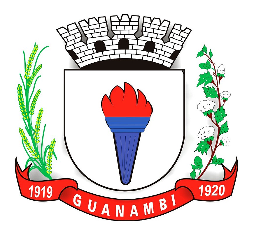 Brasão da cidade de Guanambi