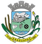 Brasão da cidade de Araguapaz