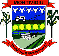 Brasão da seguinte cidade: Montividiu