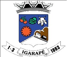 Brasão da cidade de Igarapé