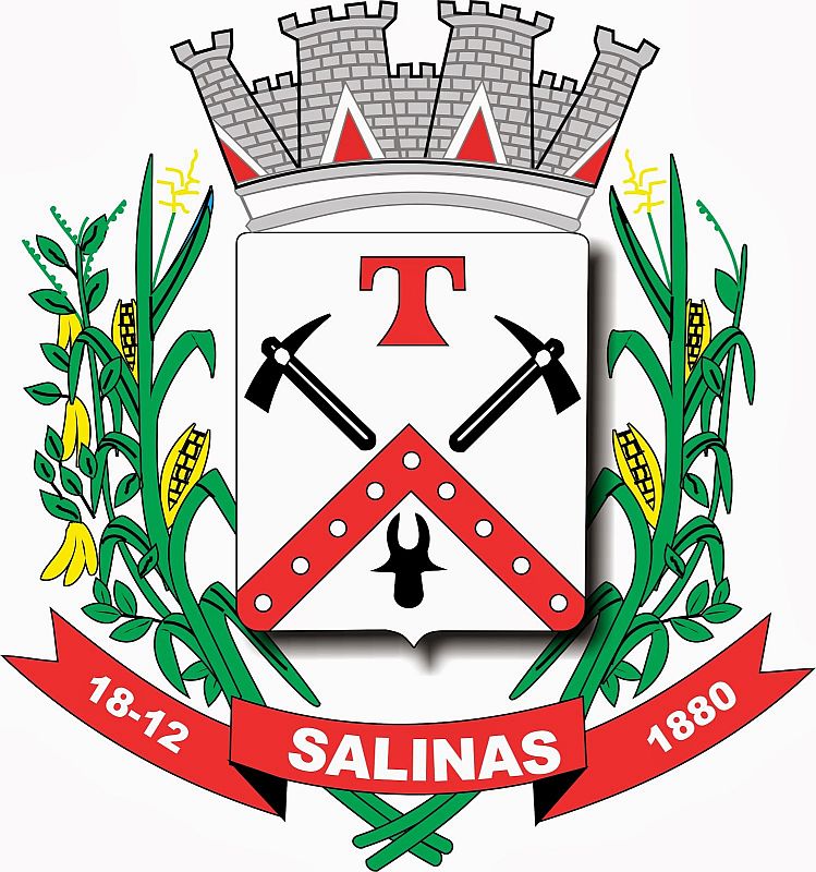 Brasão da cidade de Salinas