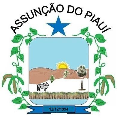 Brasão da cidade de Assunção do Piauí