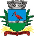 Brasão da seguinte cidade: Guaramirim