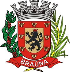 Brasão da cidade de Braúna