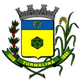 Brasão da cidade de Turmalina